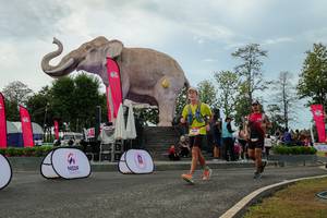 BIB: 
                            <button type="button" onclick="openModal(26528908)" class="btn btn-primary btn-sm float-right btn-popup" data-toggle="modal" data-target=".modal-high-quality">
                        <i class="fas fa-shopping-cart"></i> Add to Cart
                    </button>
                                            <button type="button" onclick="isThisMe(26528908, true)" class="btn btn-success btn-sm float-right btn-popup btn-isme hidden" data-toggle="tooltip" data-placement="bottom" title="นี่คือรูปของคุณใช่ไหม คลิกที่นี่เพื่อเอาเข้าอัลบั้ม">
                        <i class="fas fa-plus"></i> Add to album
                    </button>
                    <button type="button" onclick="isThisMe(26528908, false)" class="btn btn-warning btn-sm float-right btn-popup btn-isnotme hidden">
                        <i class="fas fa-ban"></i> Remove from album
                    </button>